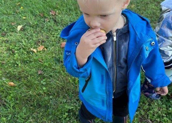 Wizyta w sadzie u Państwa Filipionek