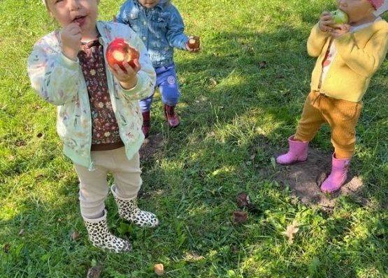 Wizyta w sadzie u Państwa Filipionek