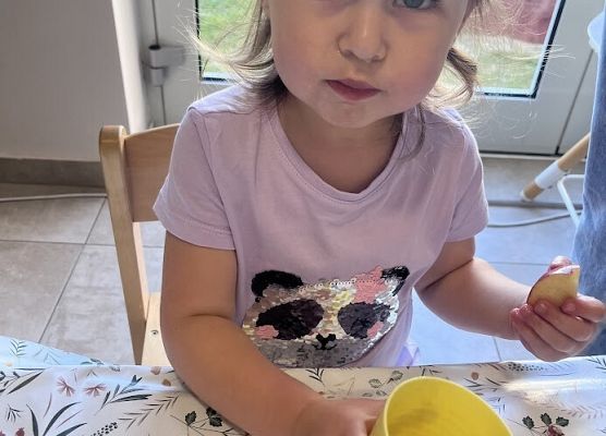 Pyszny soczek z jabłuszek z pobliskiego sadu