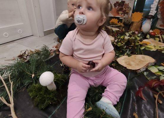 wielozmysłowe poznawanie świata