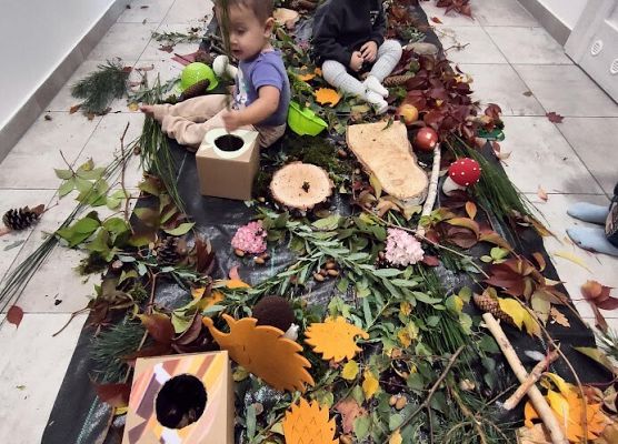 wielozmysłowe poznawanie świata