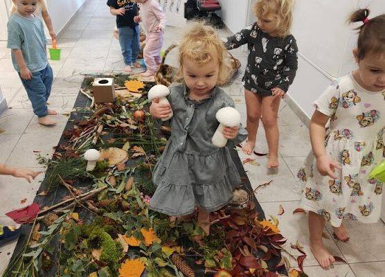 wielozmysłowe poznawanie świata