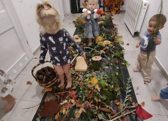 wielozmysłowe poznawanie świata