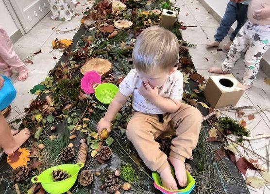 wielozmysłowe poznawanie świata