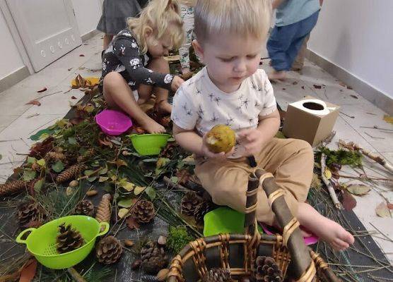 wielozmysłowe poznawanie świata