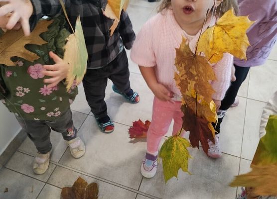 Taniec spadających liści