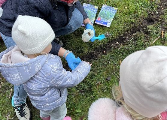 Serduszko z szafirków