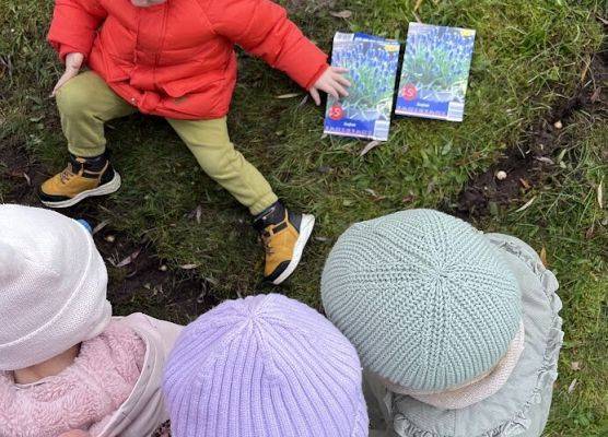 Serduszko z szafirków