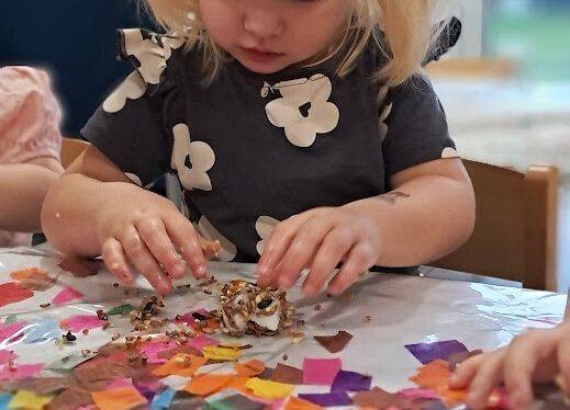 Pokarm dla  ptaszków