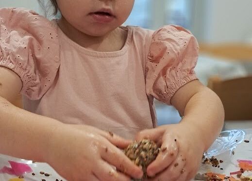 Pokarm dla  ptaszków