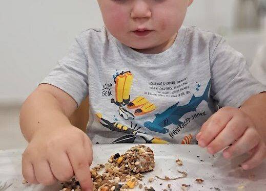 Pokarm dla  ptaszków