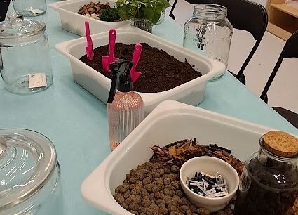 Warsztaty z babcią i dziadkiem ,,Las w szkle''