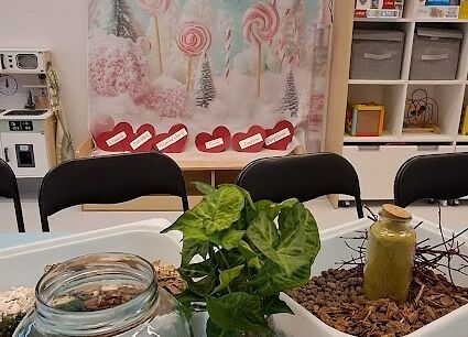 Warsztaty z babcią i dziadkiem ,,Las w szkle''