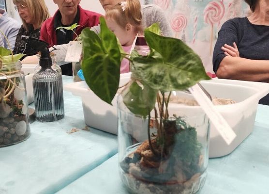 Warsztaty z babcia i dziadkiem  ,,Las w szkle''