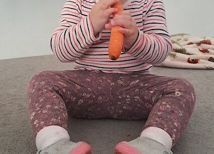 Poznajemy warzywo wszystkimi zmysłami