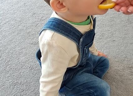 Degustacja owocków kwaśne/ słodkie