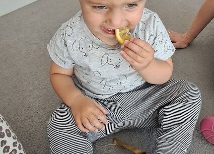 Degustacja owocków kwaśne/ słodkie