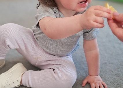 Degustacja owocków kwaśne/ słodkie