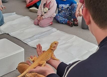 Grafika 4: Spotkanie z jaszczurką Agatą