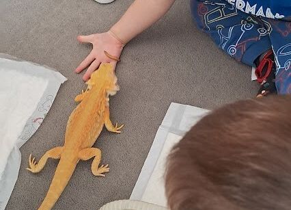 Grafika 8: Spotkanie z jaszczurką Agatą