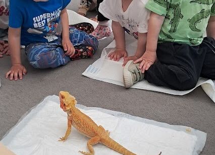 Grafika 9: Spotkanie z jaszczurką Agatą