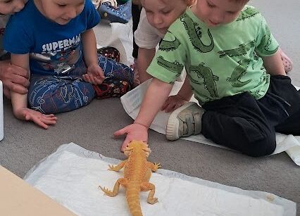 Grafika 10: Spotkanie z jaszczurką Agatą