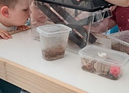 Grafika 12: Spotkanie z jaszczurką Agatą