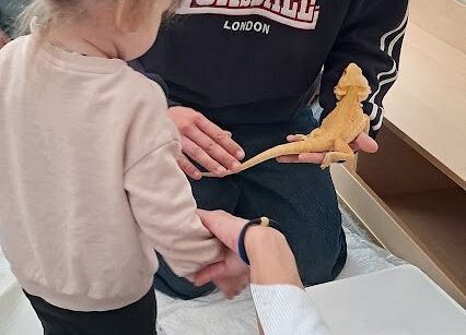 Grafika 13: Spotkanie z jaszczurką Agatą