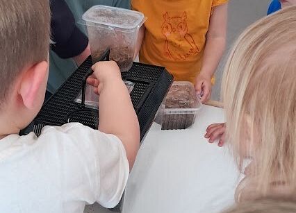 Grafika 14: Spotkanie z jaszczurką Agatą