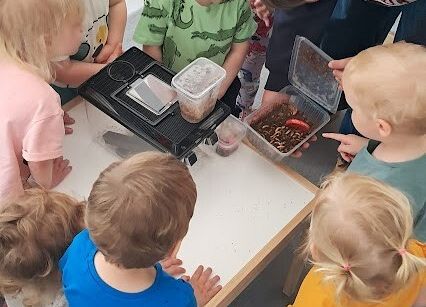 Grafika 16: Spotkanie z jaszczurką Agatą