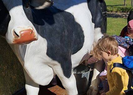 Grafika 1: Wycieczka na Farmę Alexa