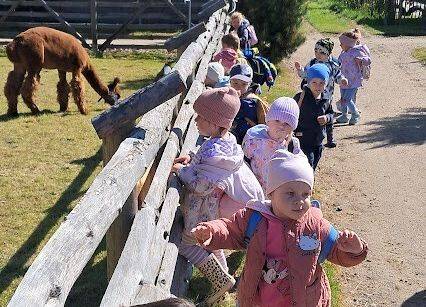 Grafika 9: Wycieczka na Farmę Alexa