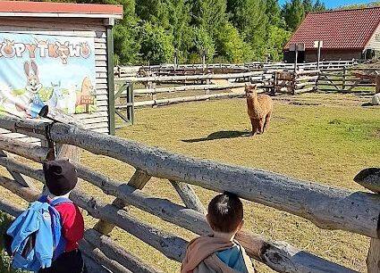 Grafika 13: Wycieczka na Farmę Alexa