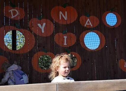 Grafika 22: Wycieczka na Farmę Alexa