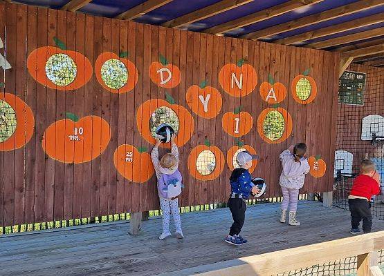 Grafika 24: Wycieczka na Farmę Alexa