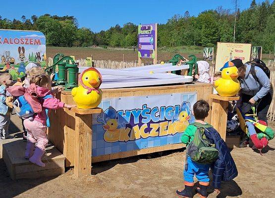 Grafika 27: Wycieczka na Farmę Alexa