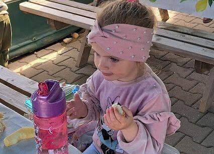 Grafika 31: Wycieczka na Farmę Alexa