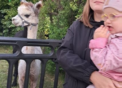 Grafika 60: Festyn Rodzinny w ogrodzie żłobkowym