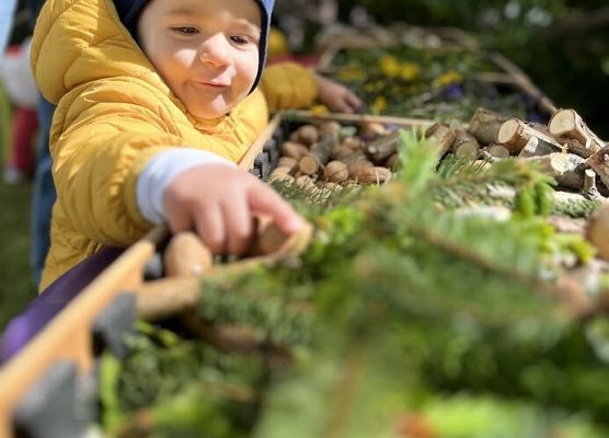 Grafika 74: Festyn Rodzinny w ogrodzie żłobkowym