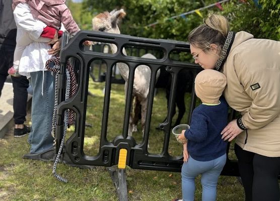Grafika 79: Festyn Rodzinny w ogrodzie żłobkowym