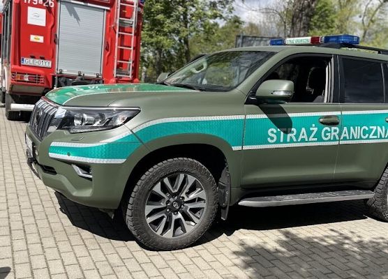 Grafika 80: Festyn Rodzinny w ogrodzie żłobkowym