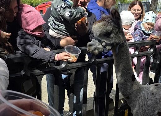 Grafika 109: Festyn Rodzinny w ogrodzie żłobkowym