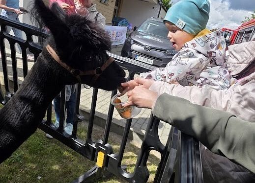 Grafika 126: Festyn Rodzinny w ogrodzie żłobkowym