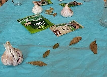 Grafika 1: Spotkanie z Panią Karoliną Bursa zajmującą się produkcją zdrowej żywności ,,ENCO''