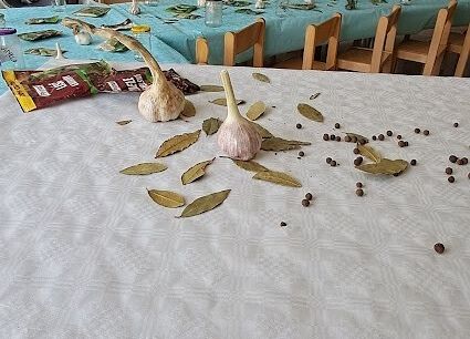 Grafika 2: Spotkanie z Panią Karoliną Bursa zajmującą się produkcją zdrowej żywności ,,ENCO''