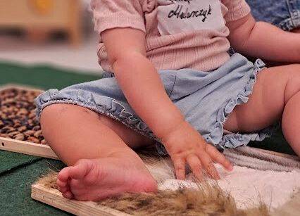 Grafika 22: Dni adaptacyjne  w Gminnym Żłobku w Charbrowie