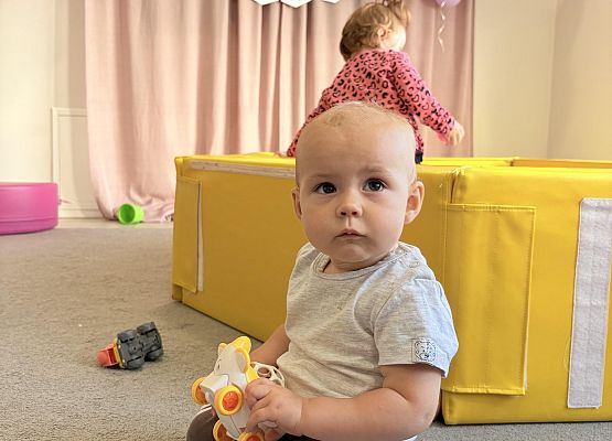 Grafika 9: Dzień Żłobkowicza