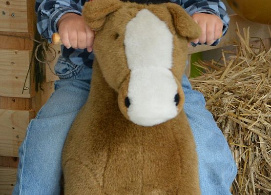 Grafika 55: Jubileusz 5 urodzin Gminnego Żłobka w Charbrowie