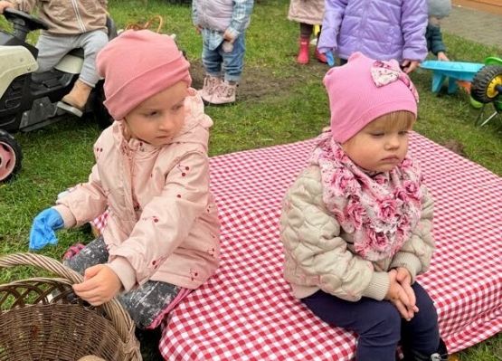 Grafika 15: ,,Wykopki''