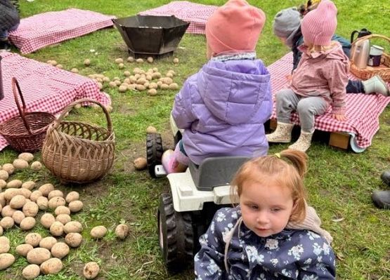 Grafika 17: ,,Wykopki''